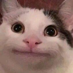 所有人保持內褲乾燥！