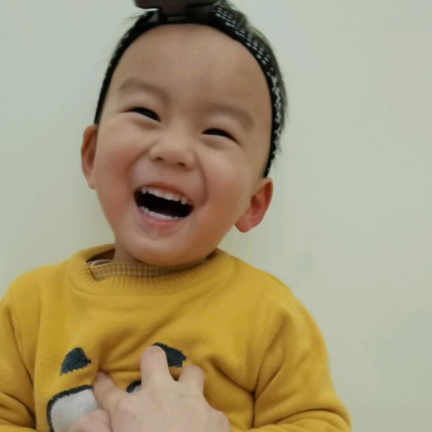 中坝大灰狼头像