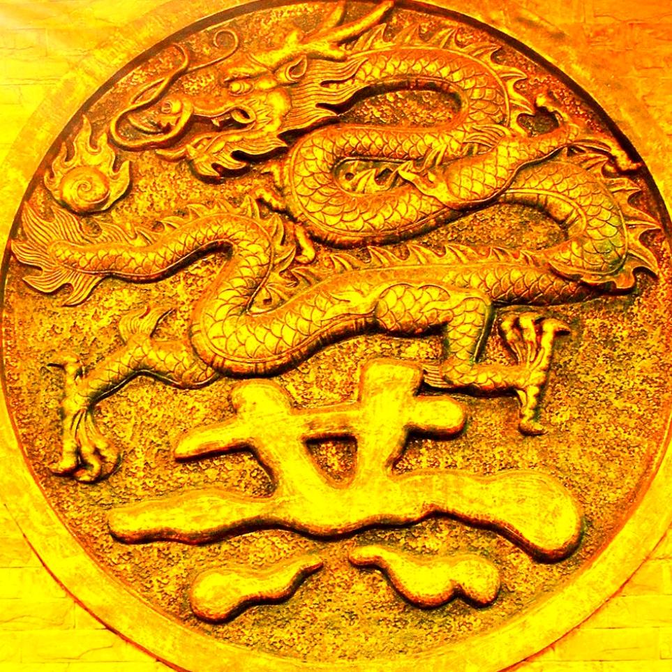 实盘50万赚1000万