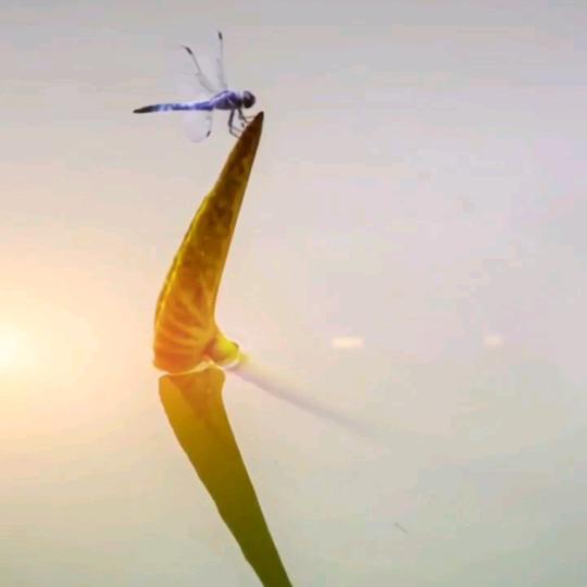 济南美食团购