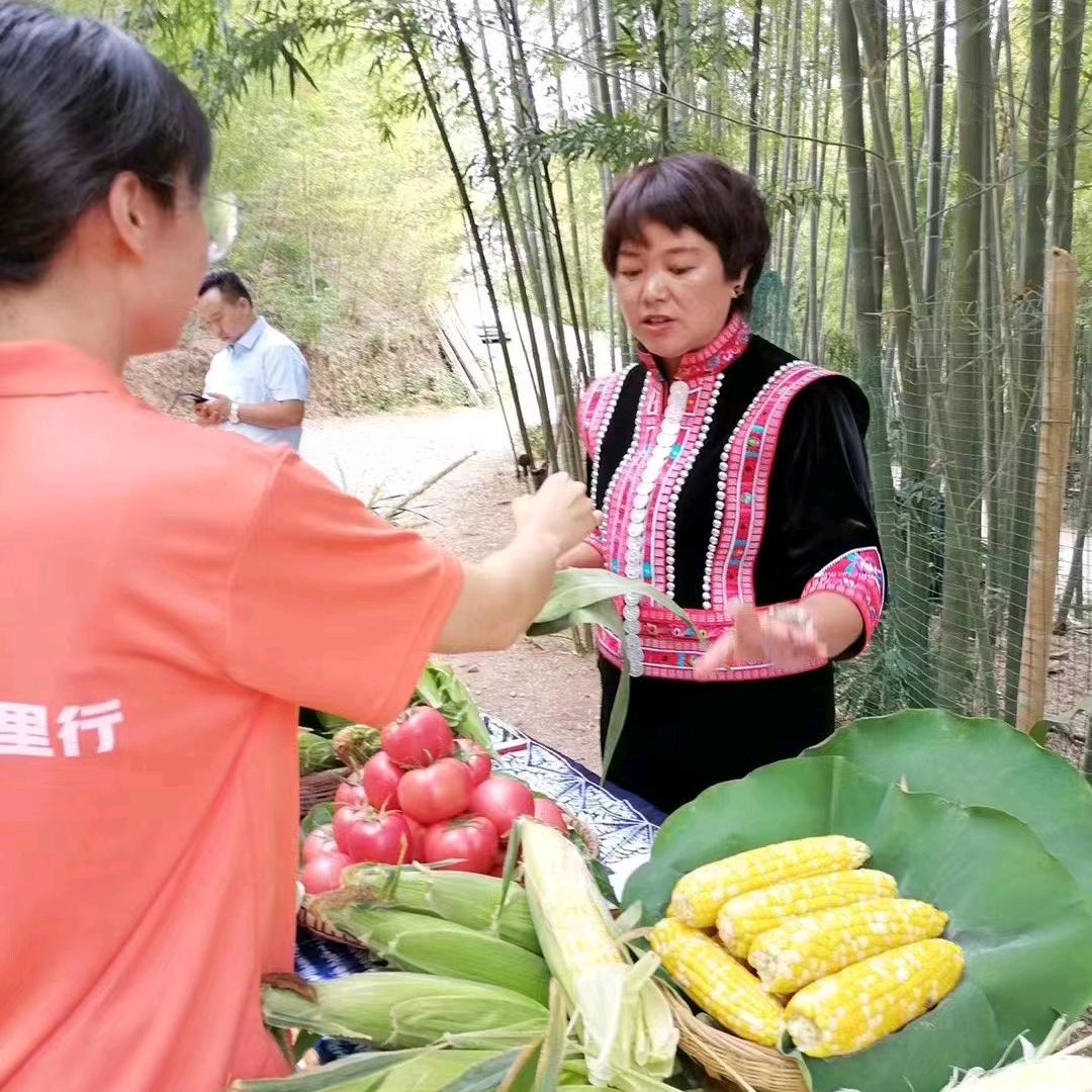 纪业合作社李英豪