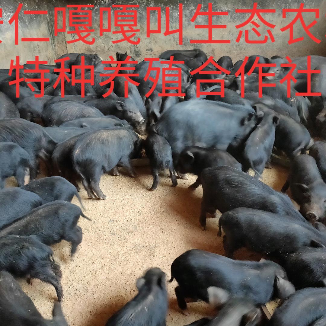 湖南嘎嘎叫藏香猪私房菜有限公司