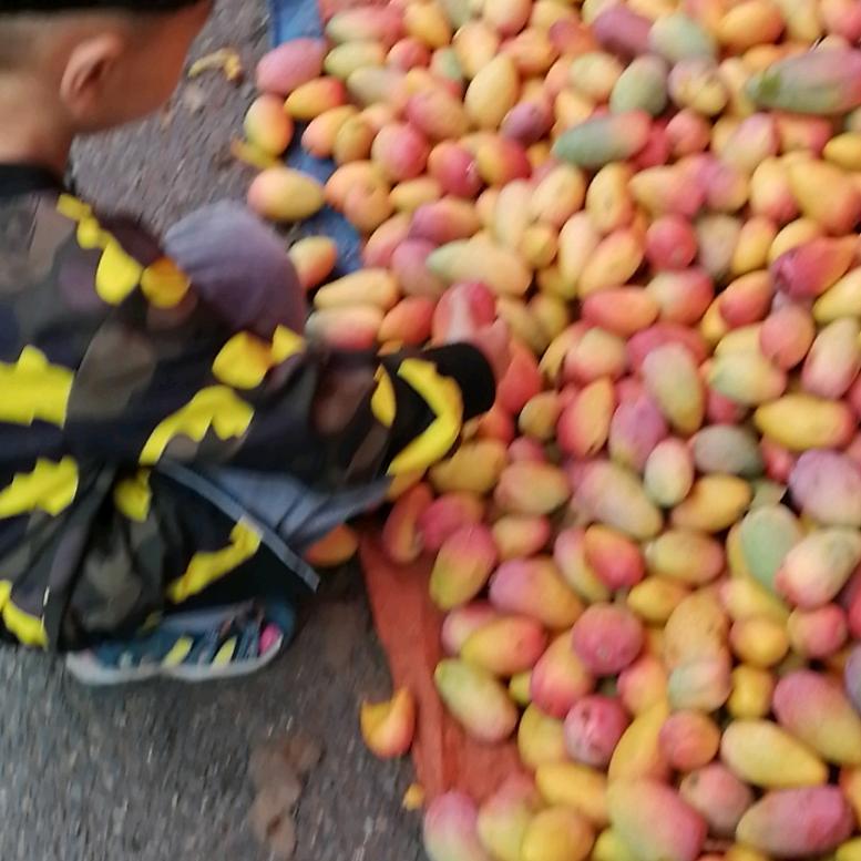 西瓜凉了半个夏🍉