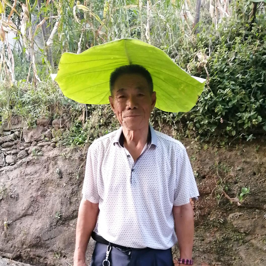 90后电视评论员
