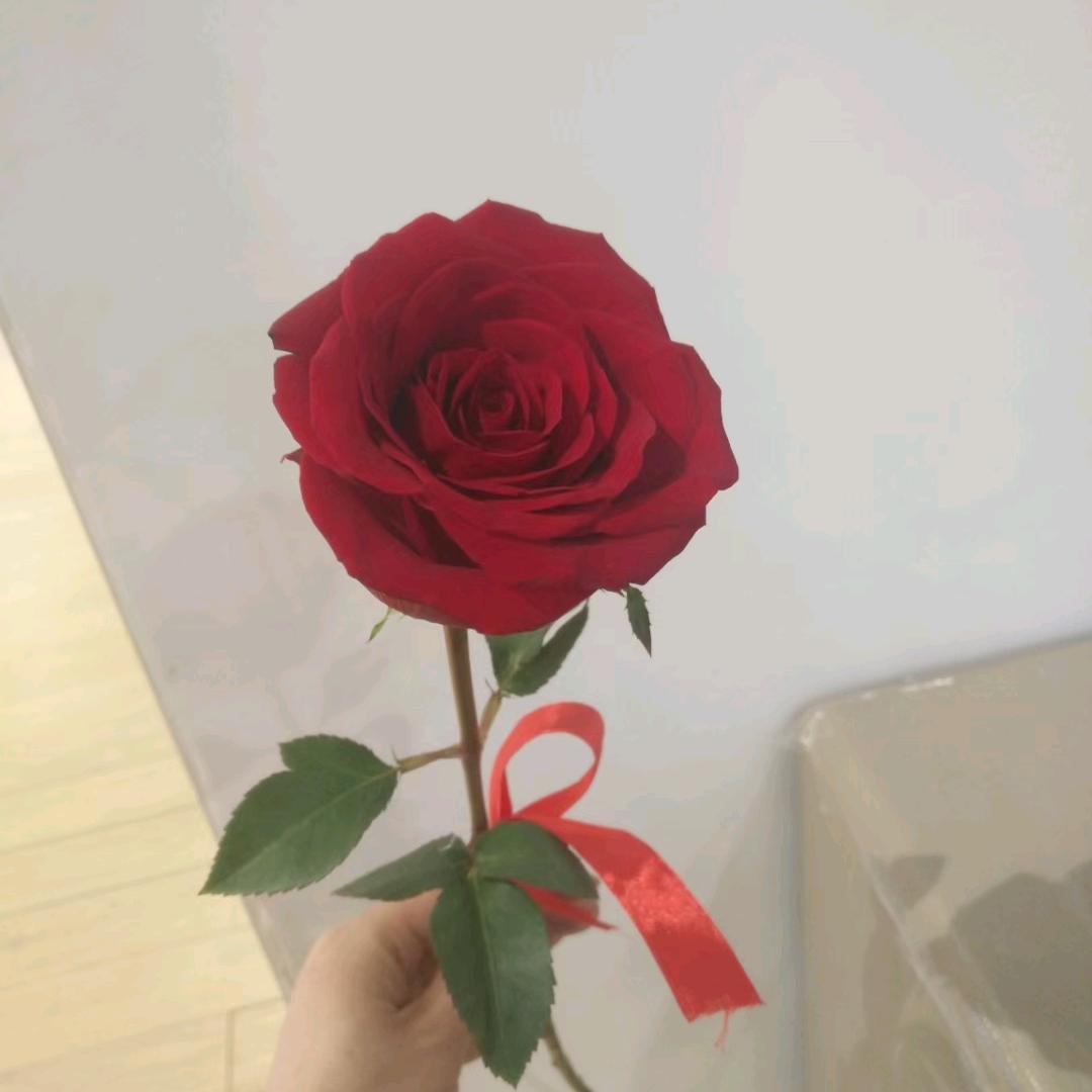 成功靠自己