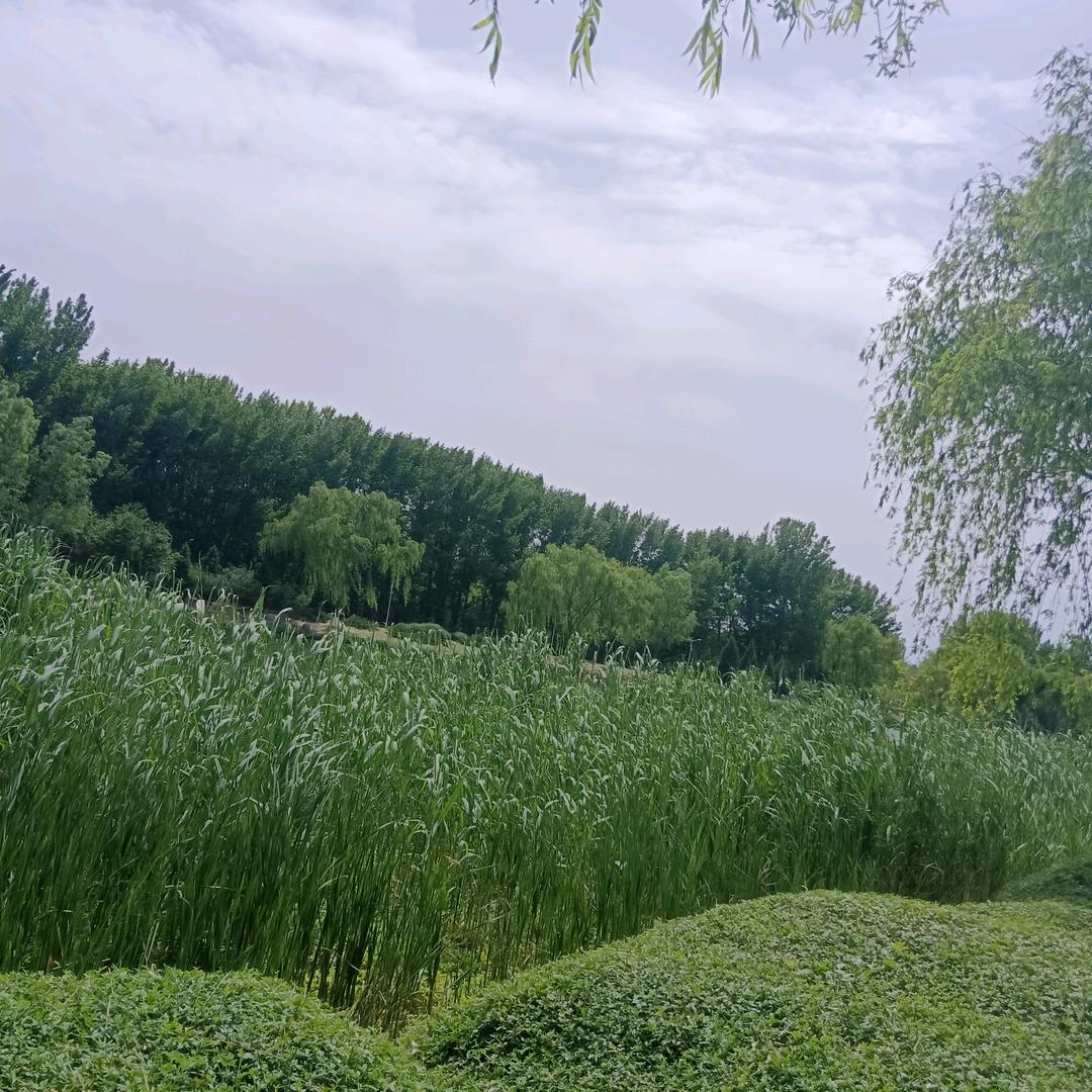 好好