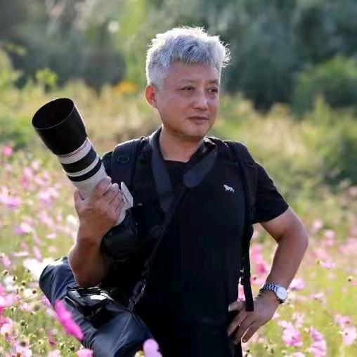 老詹视界