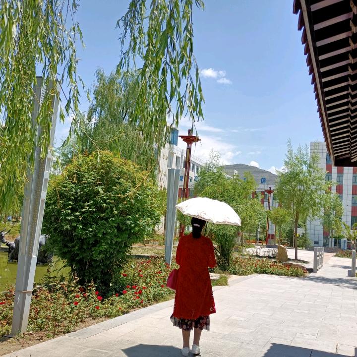 雪莲