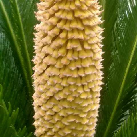 快乐一生%%ccVzKSfd5h8%%