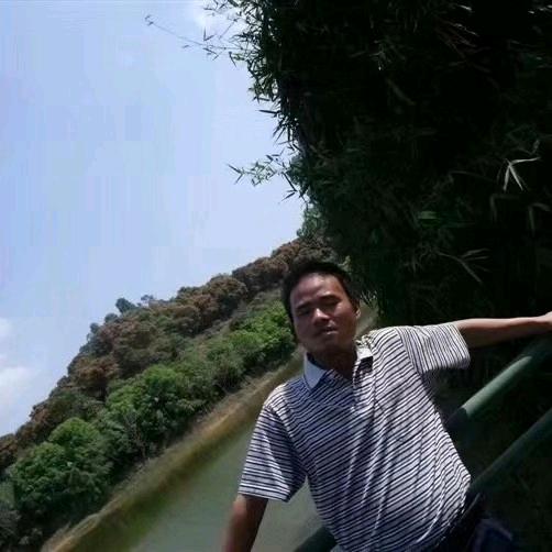 新明