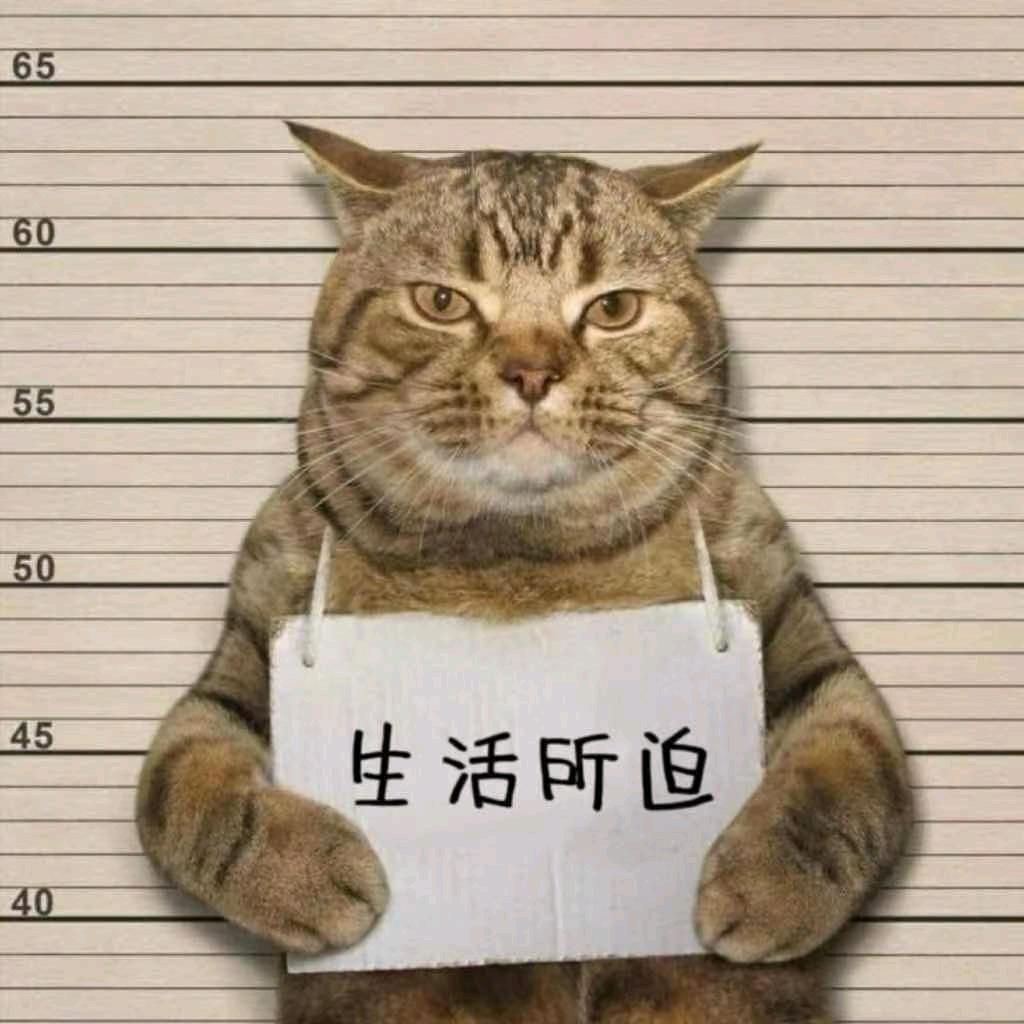 陌生人de微笑