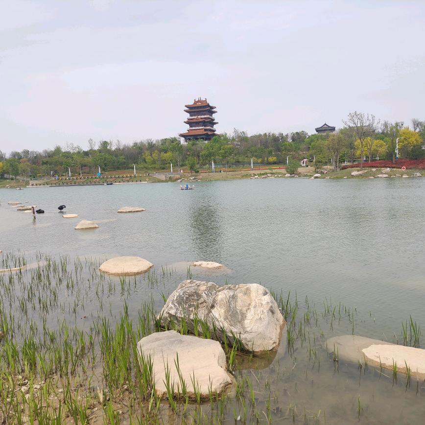 沐晨
