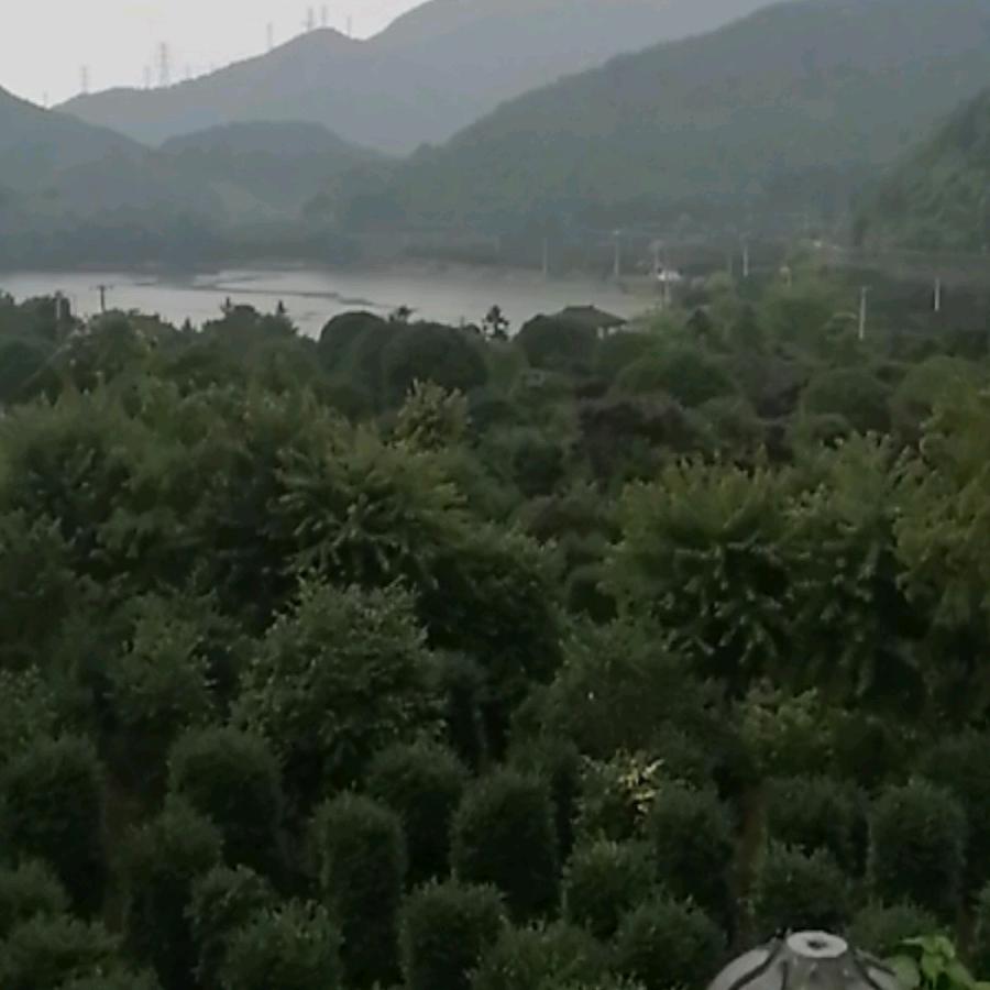 黄粱😍一梦