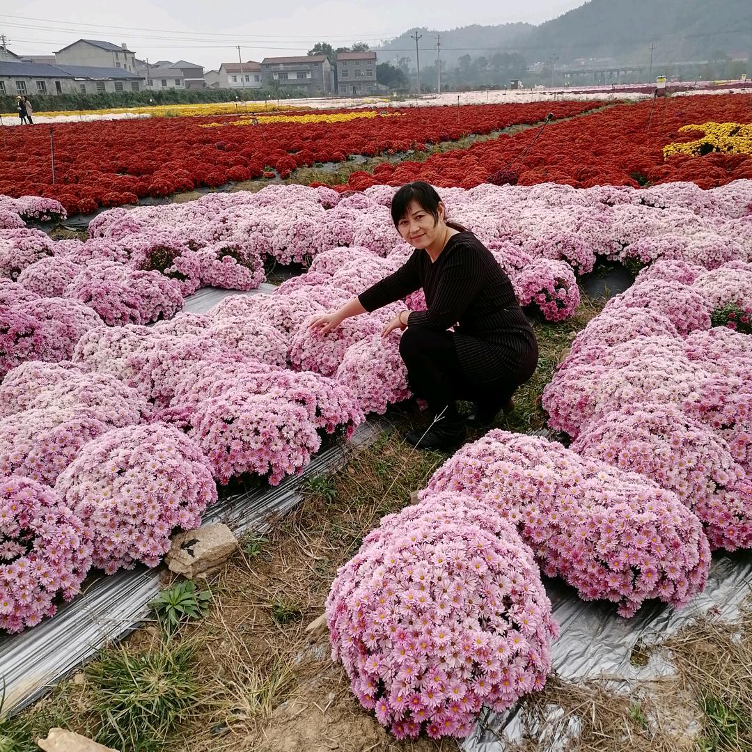 开心快乐每一天：
