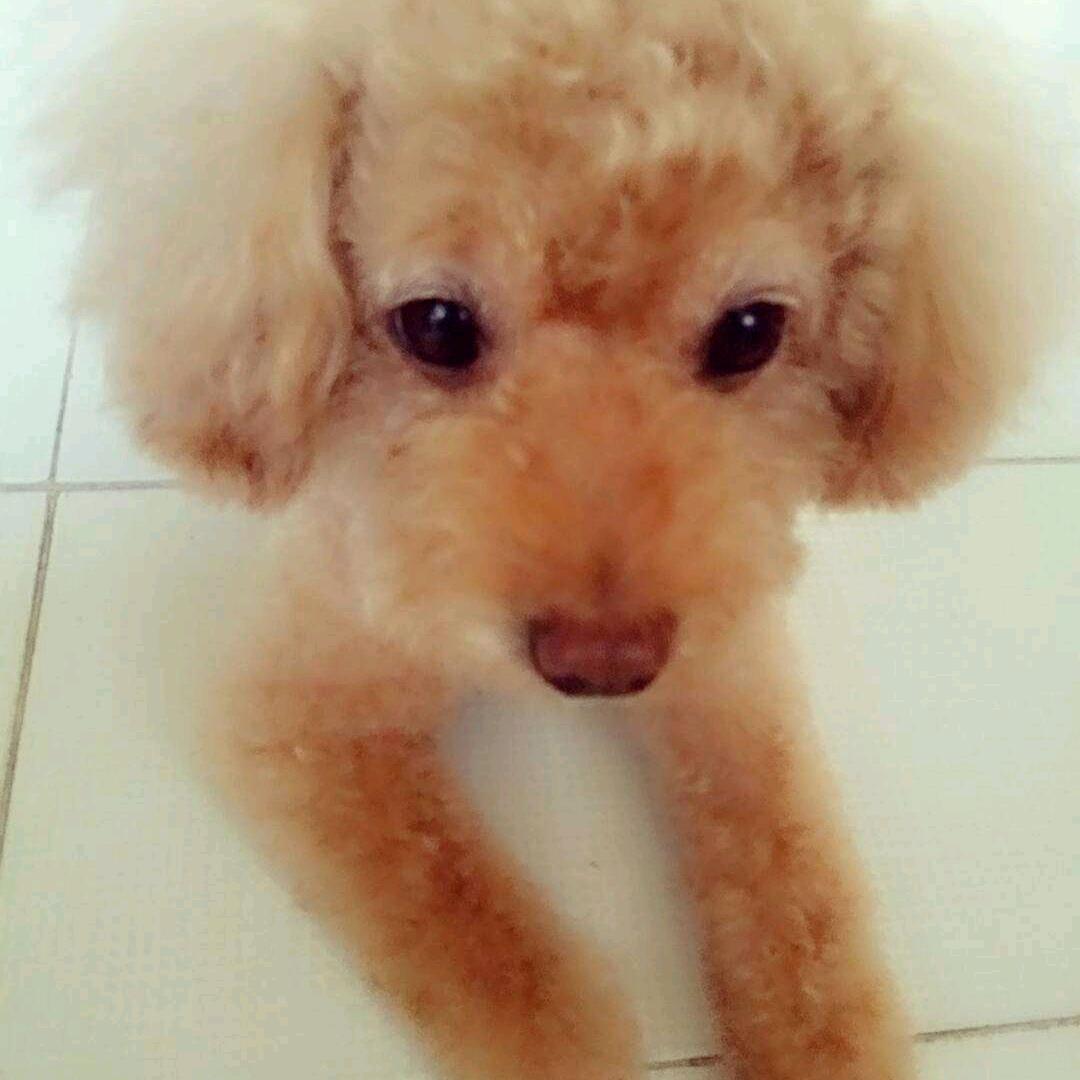 王后余生，朱事顺利