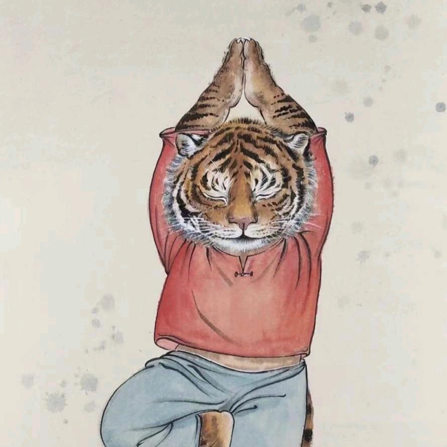 会游泳的猫