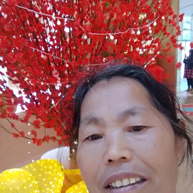 朱姐用户9447005016452