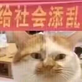日渐消瘦的肥猫
