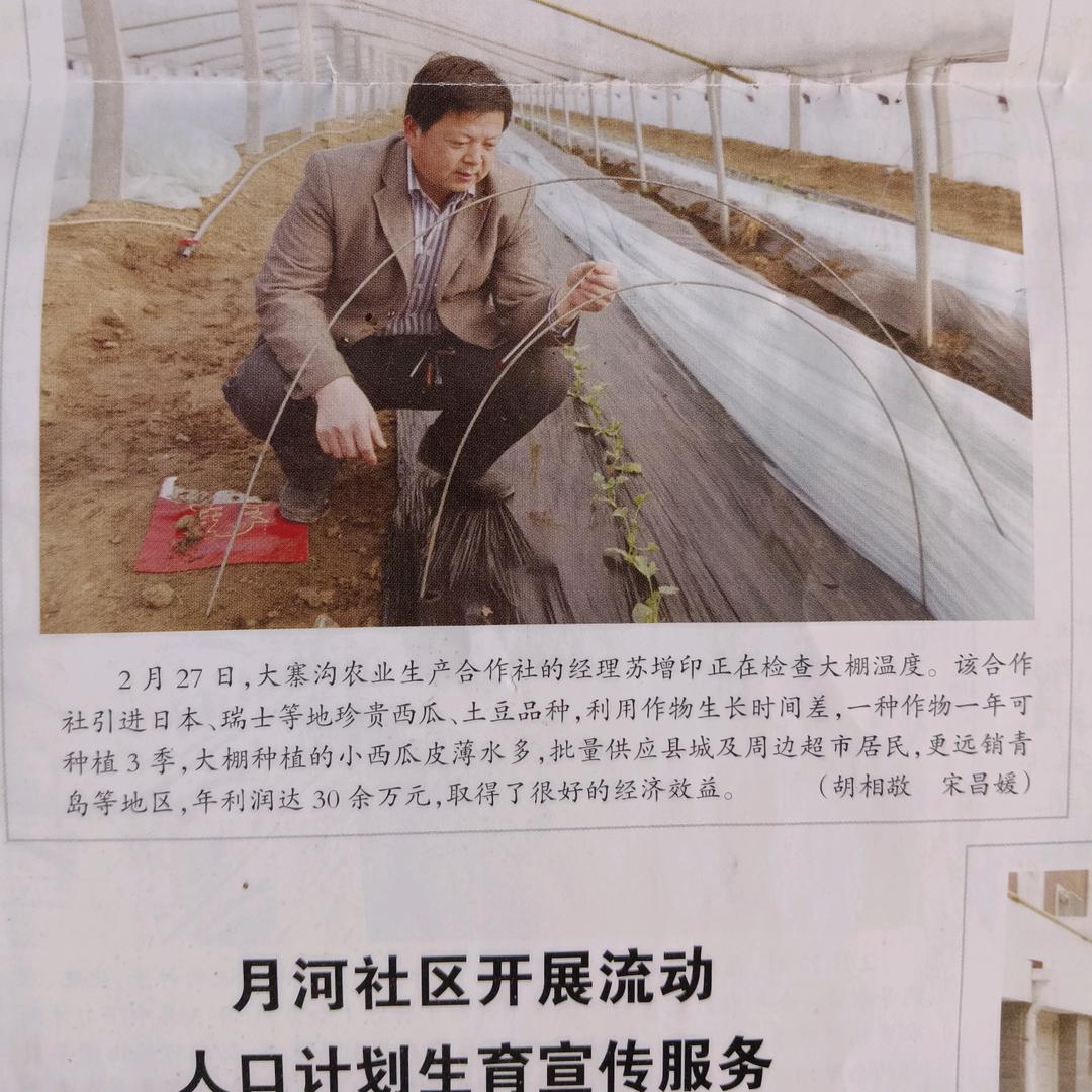 静等花开