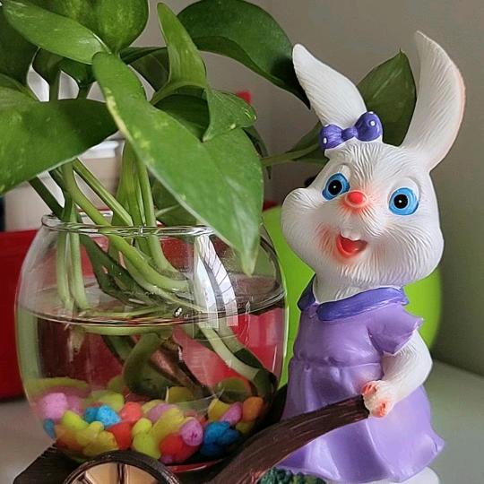 雨落红颜醉洛璃