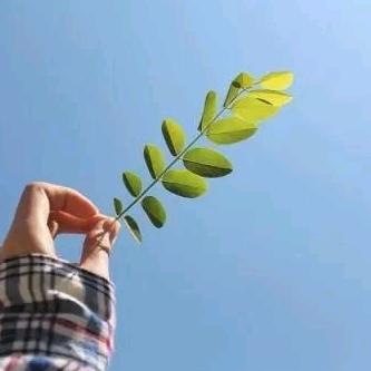 小城古石(戈壁茉莉)