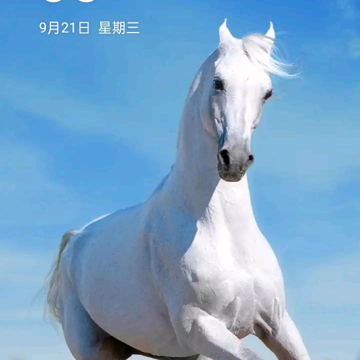 用户1002216574100
