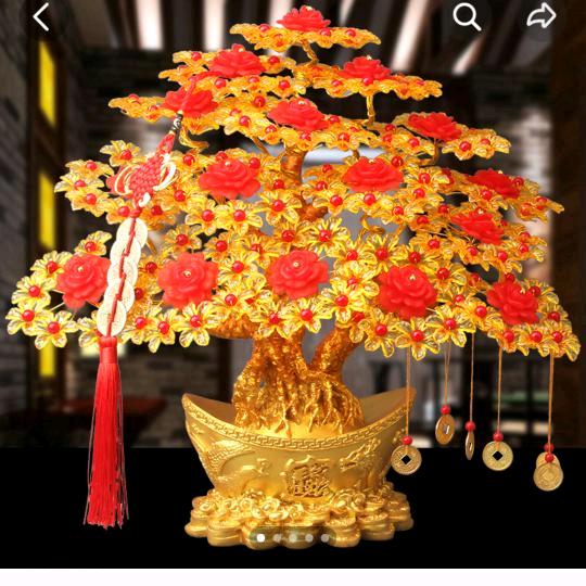 莲莲  橱窗