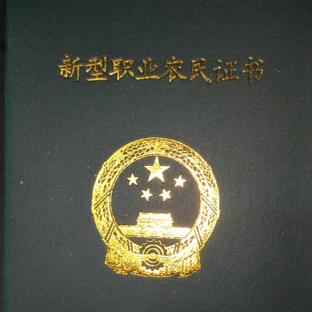 舍～～得～～