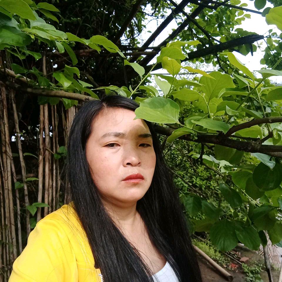 圆月儿