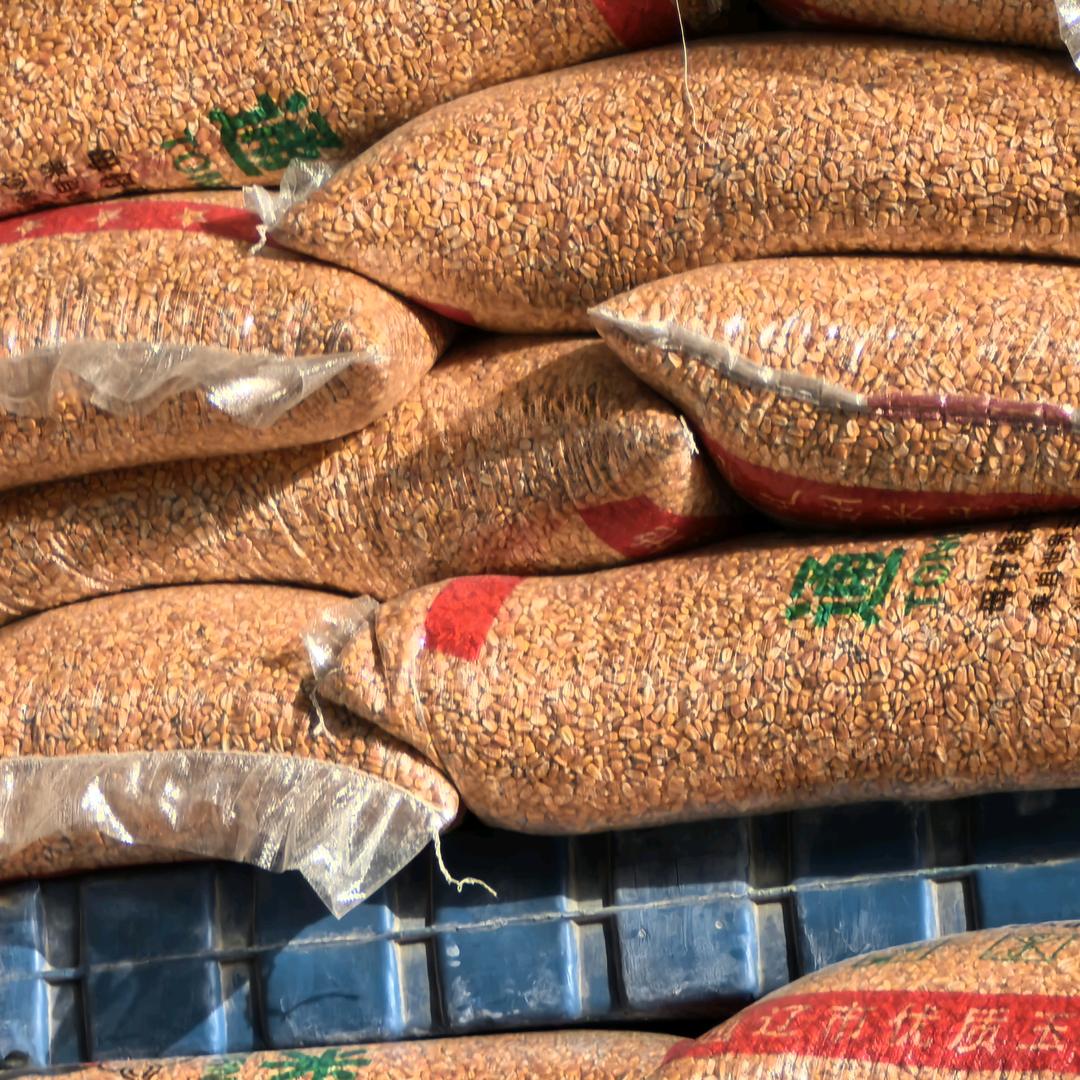 苞谷豆粕饲料零售点