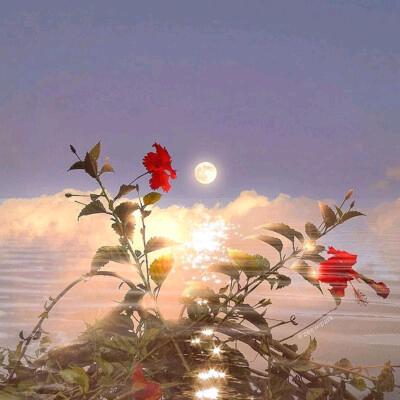 勿忘初心1P湖北拒绝私聊