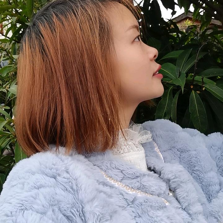燕子浙漂日记