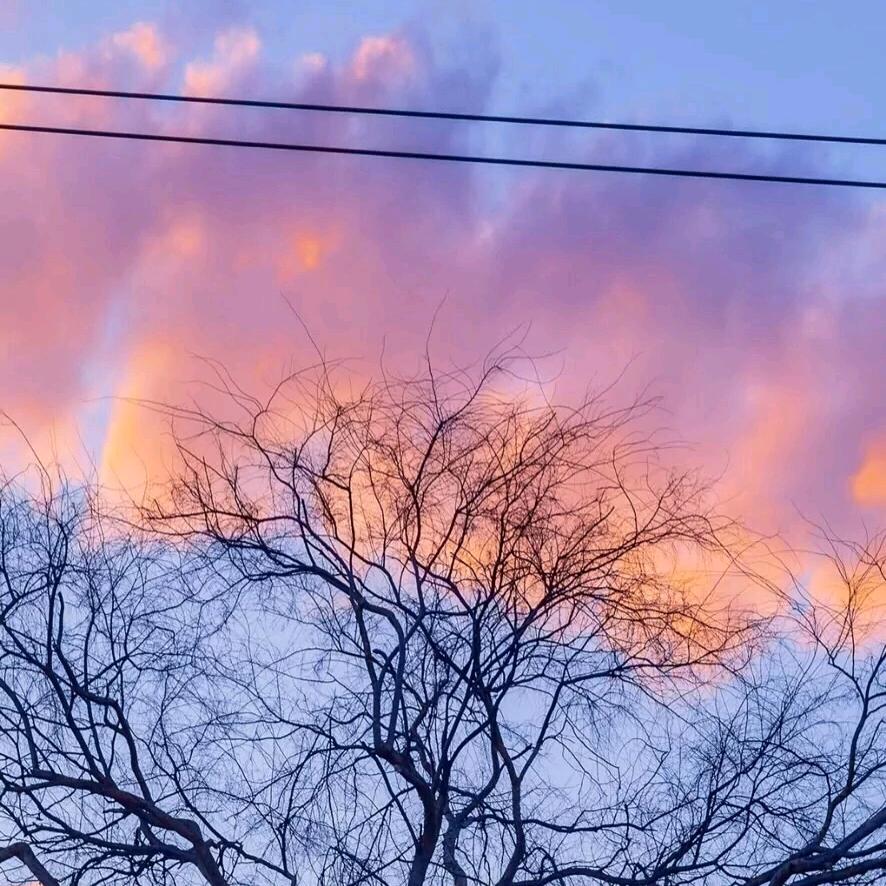 人生苦短，及時行樂