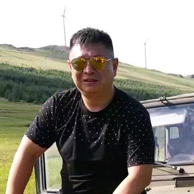 成哥大白话