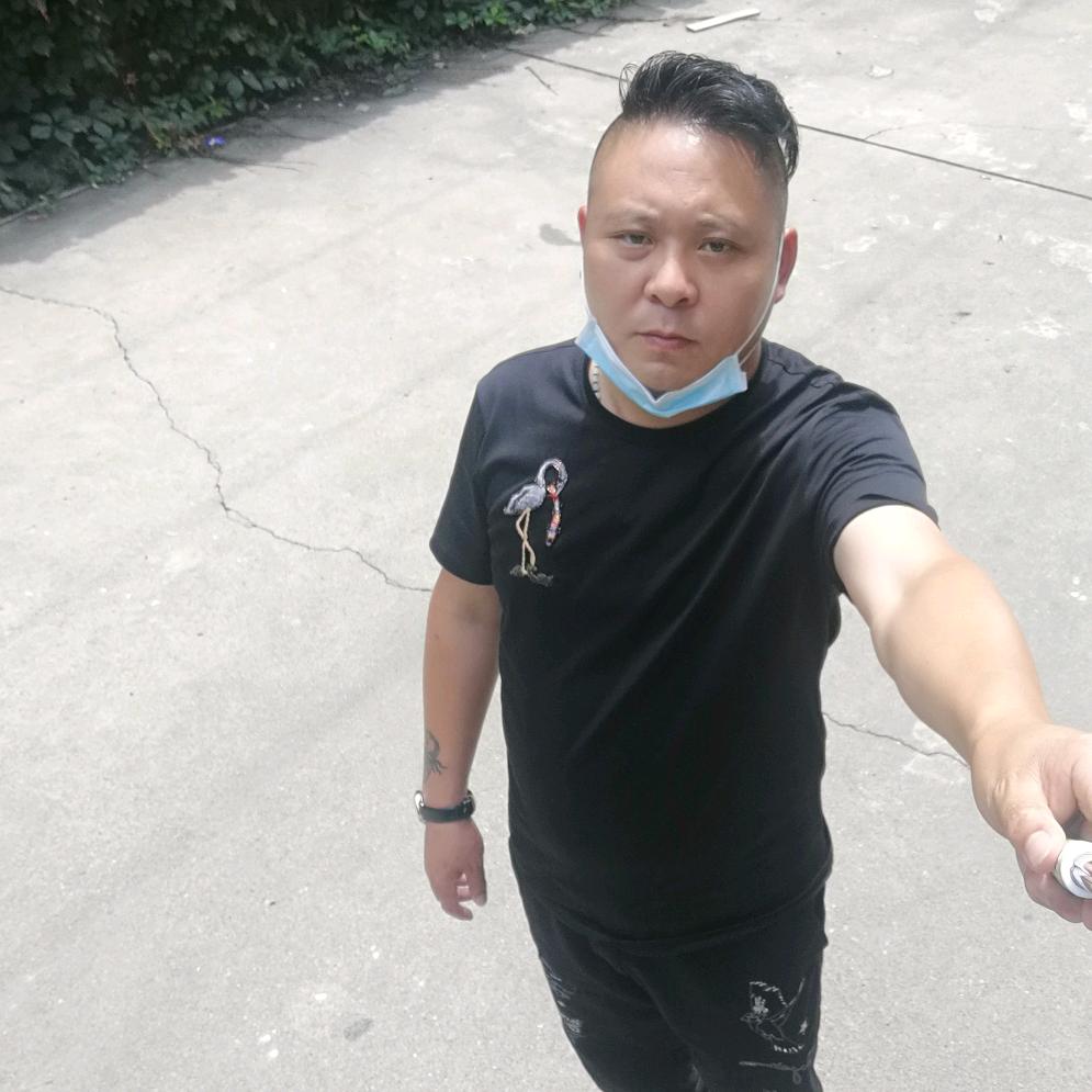 青龙毒蝎
