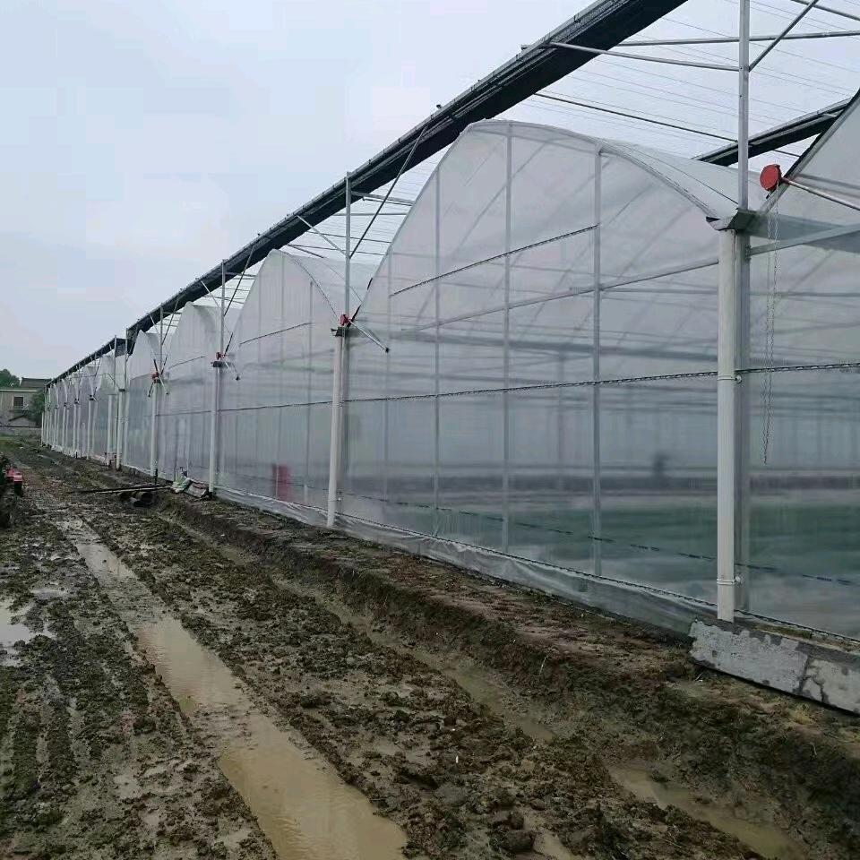 鹰潭顶农温室大棚厂