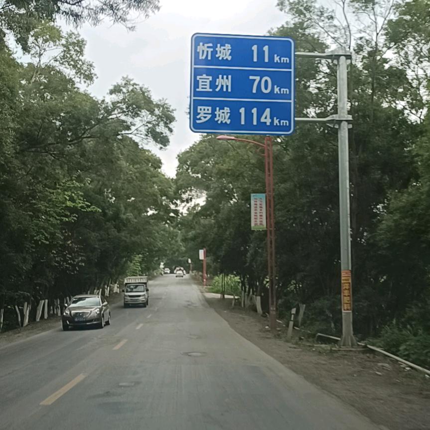 浪子情深