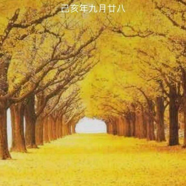 虎哥888