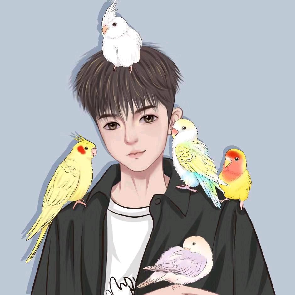 知鸢鸟舍