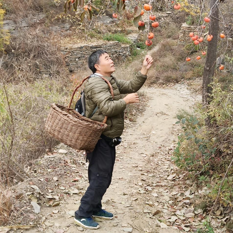 无言；老山筋