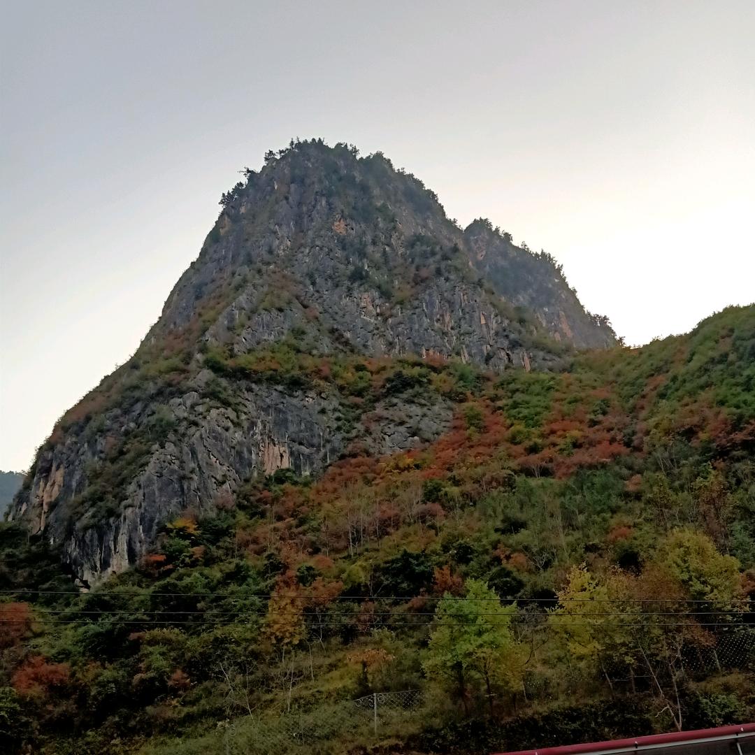 马到成功