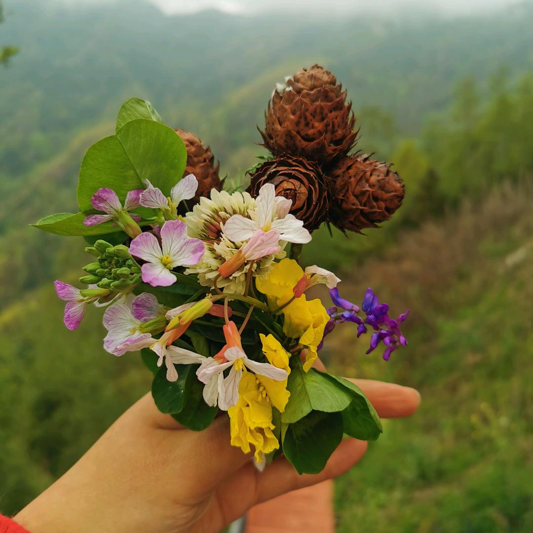 减肥路上的绊脚石