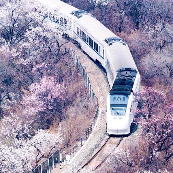 馨恬恬