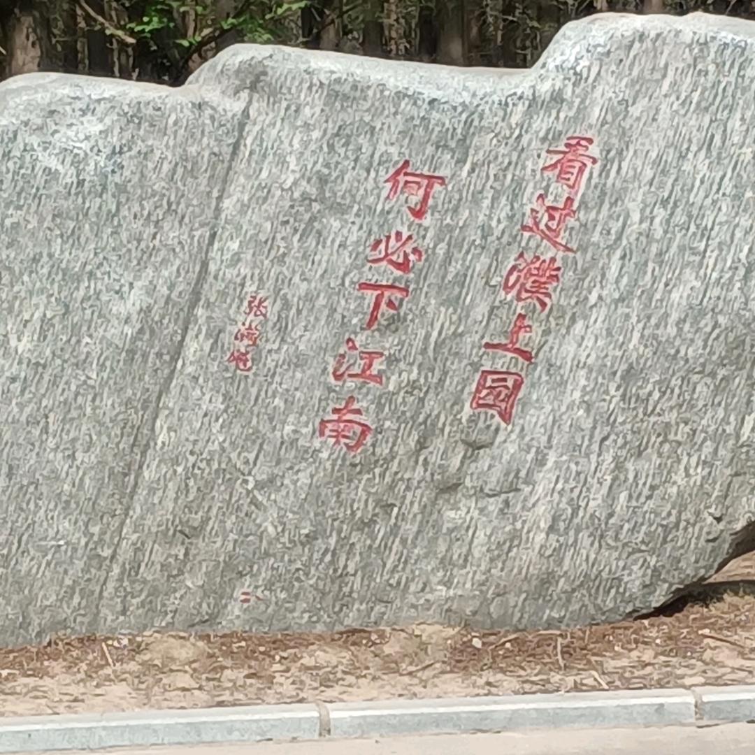 👍涛