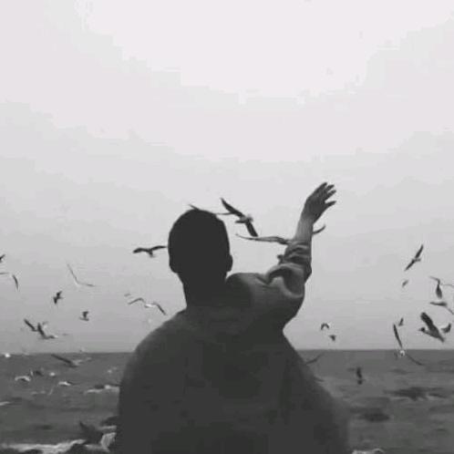AkiHi