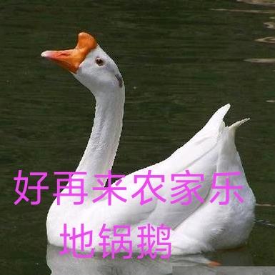 好再来农家乐
