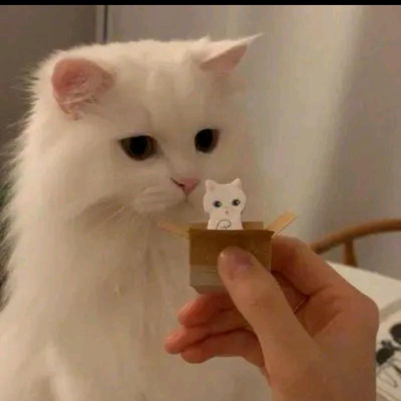 野生茶叶蛋