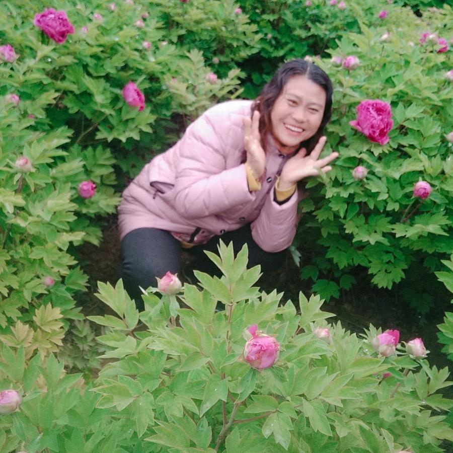 赵姐玉米面酵麻花