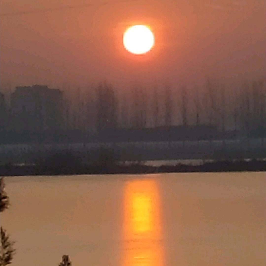 王俊智