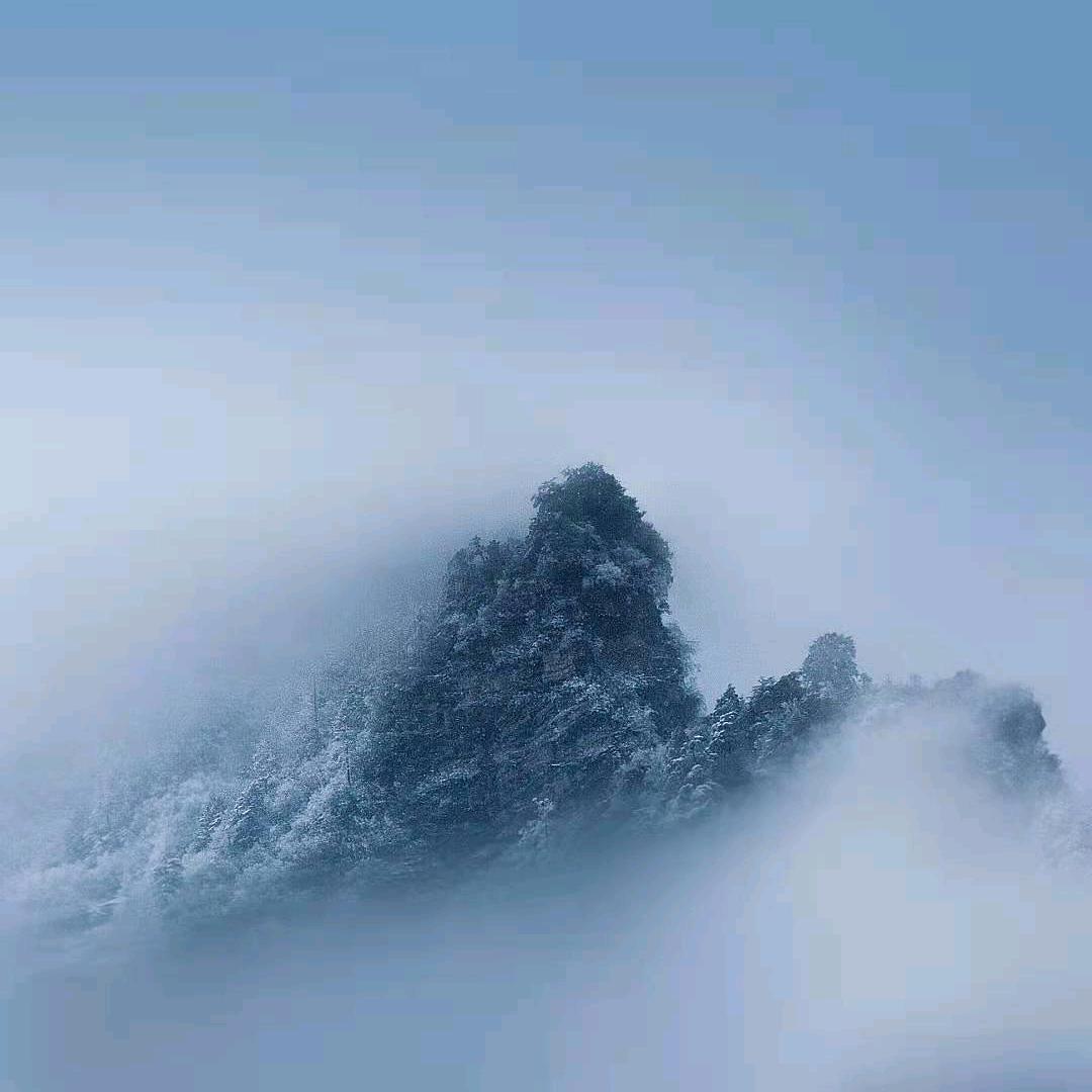徐姐
